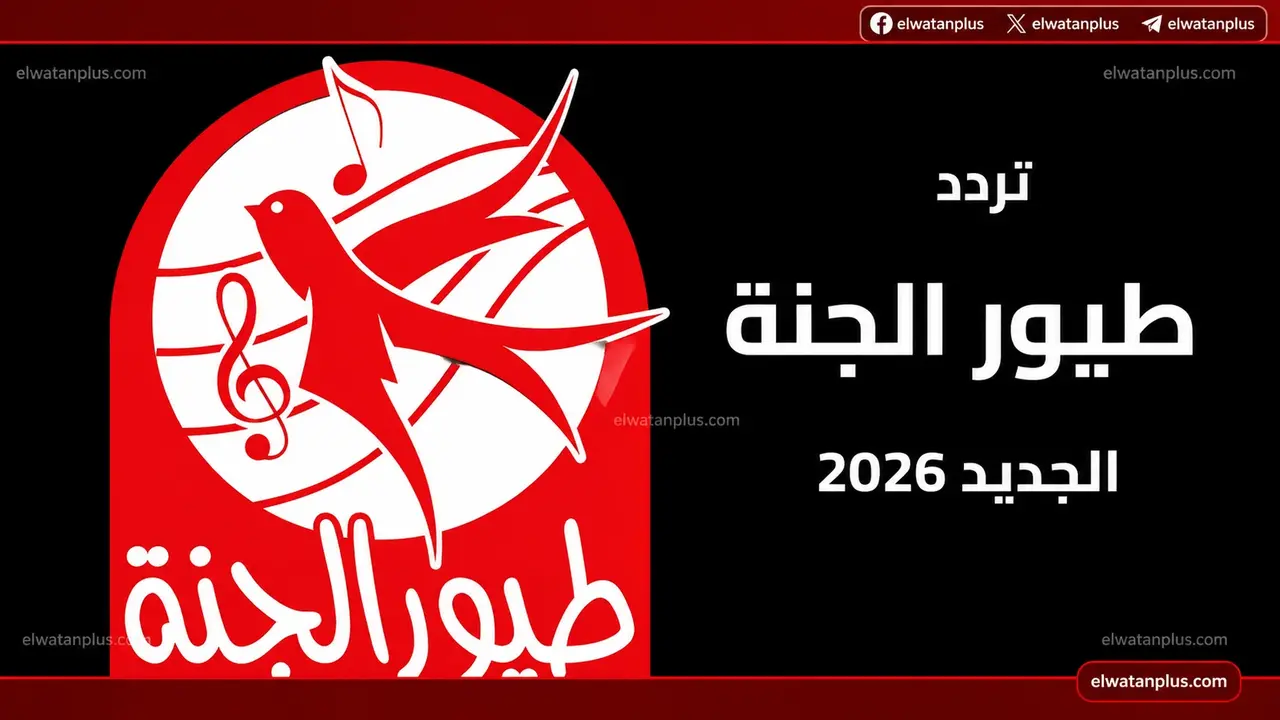 تردد قناة طيور الجنة الجديد على نايل سات لضمان جودة بث مرتفعة للأطفال